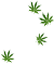 Four Leafs