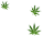 Three Leafs